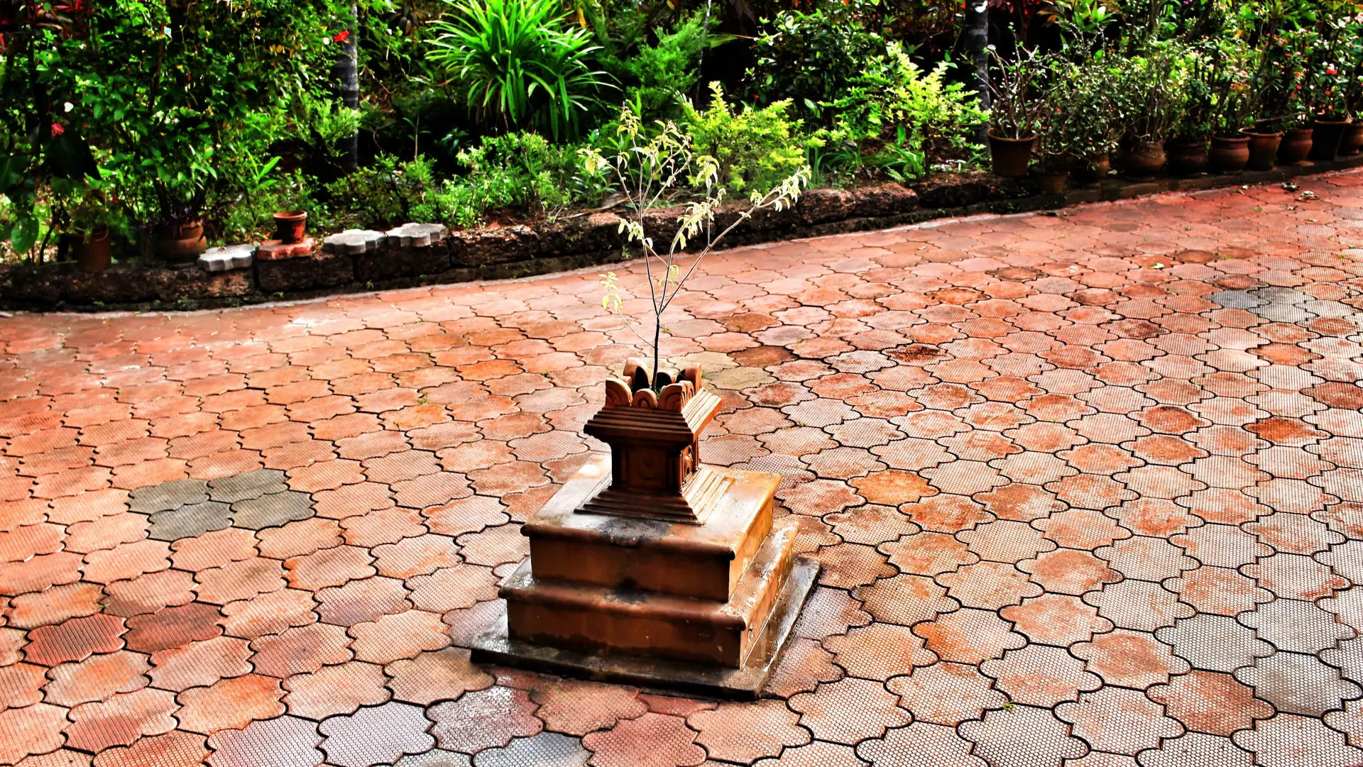 Tulsi thara in courtyard